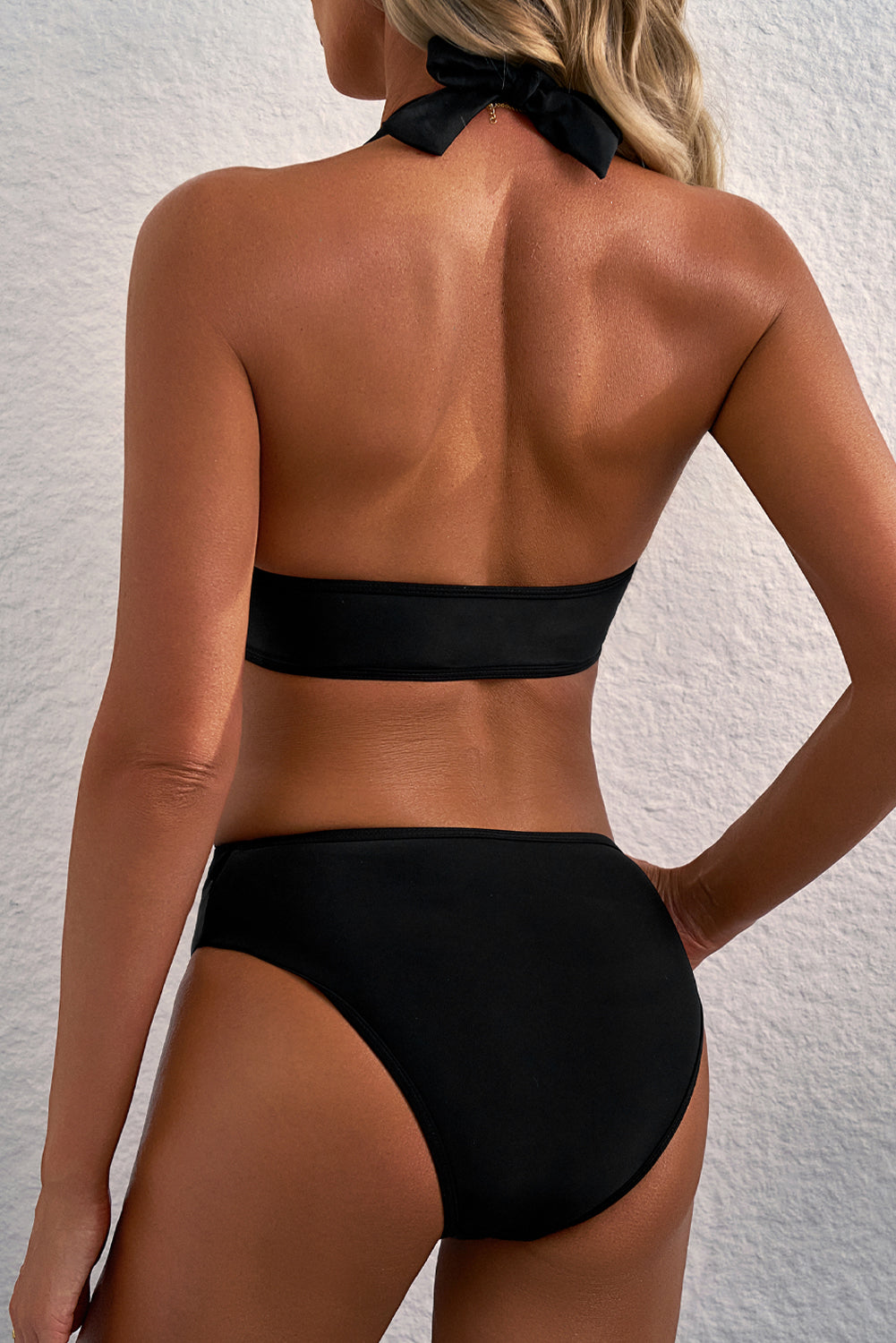 Black Sheer Mesh Edged Halter V Neck Push Up Bikini-Chaelisa's New Jammies