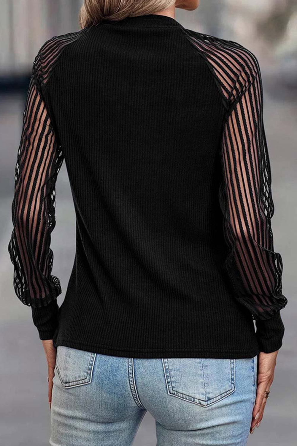 Black Striped Mesh Long Sleeve Crewneck Ribbed Top-Chaelisa's New Jammies